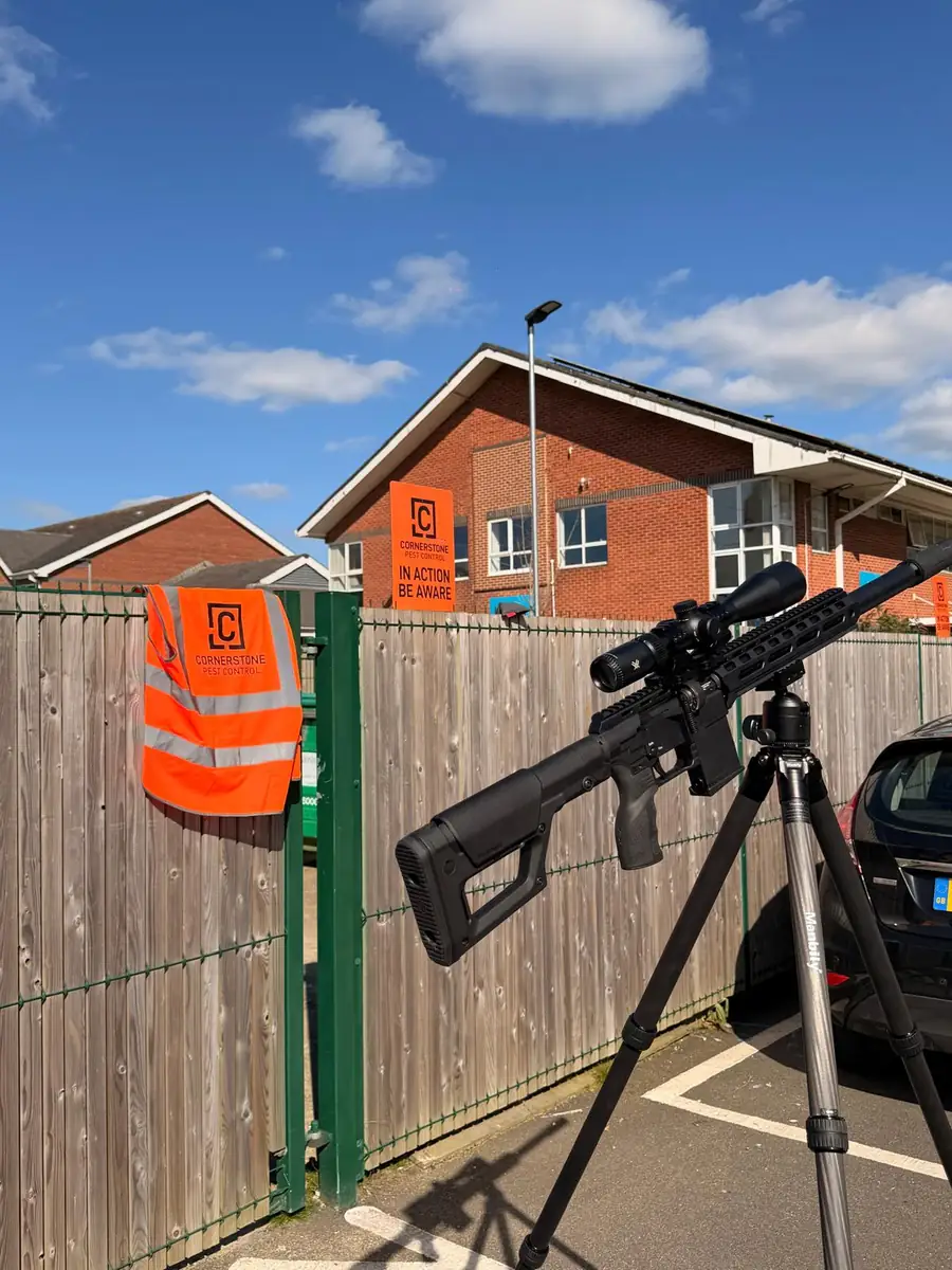 Cornerstone Pest Control technician on site in Redhill, Surrey