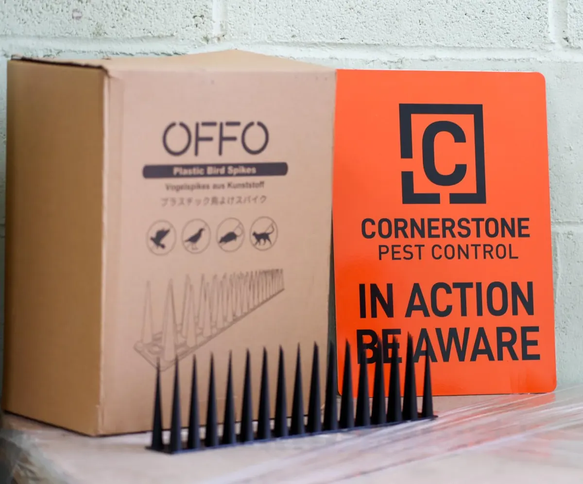 A row of plastic bird spikes in front of their carton and an orange Cornerstone Pest Control warning board